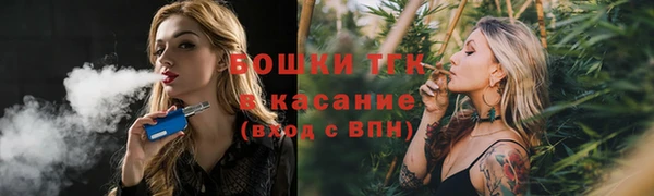 шишки Кукмор