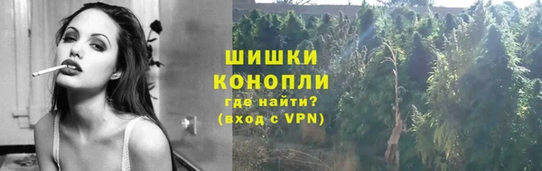 шишки Кукмор