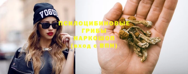 шишки Кукмор