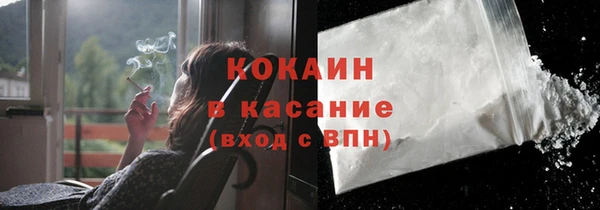 шишки Куйбышев