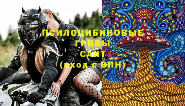 шишки Куйбышев
