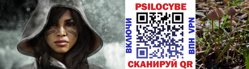 Галлюциногенные грибы GOLDEN TEACHER  Купить закладки  Лукоянов 